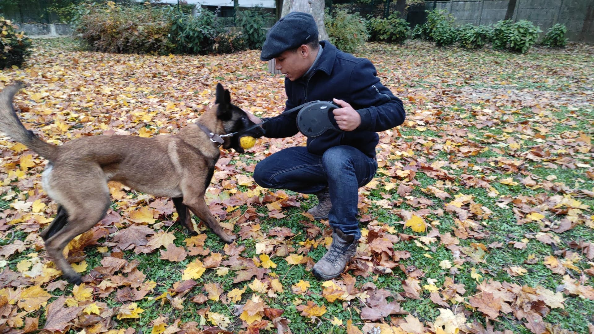 Romain accroupi avec un malinois dans les feuilles